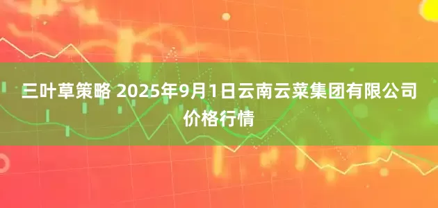 三叶草策略 2025年9月1日云南云菜集团有限公司价格行情