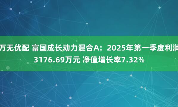 万无优配 富国成长动力混合A：2025年第一季度利润3176.69万元 净值增长率7.32%